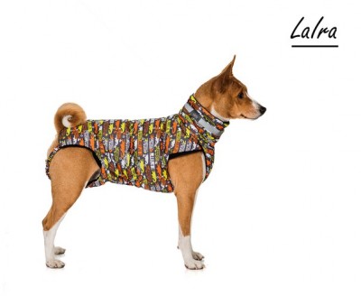 basenji dog collar на АлиЭкспресс — купить онлайн по выгодной цене